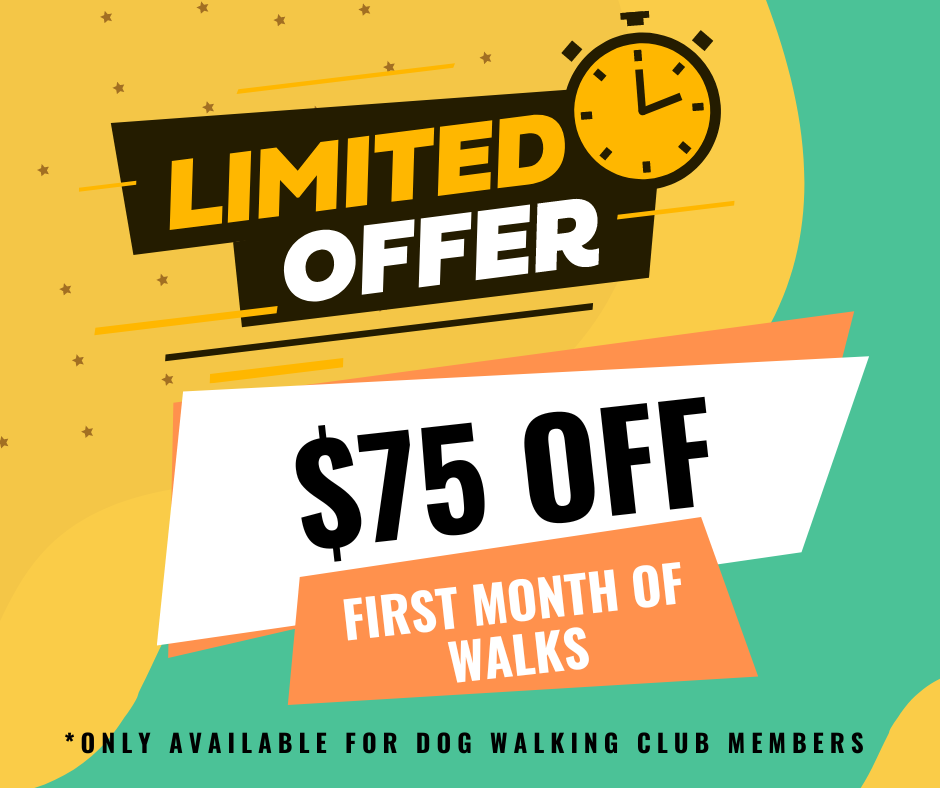 $75 OFF First month of dog walks